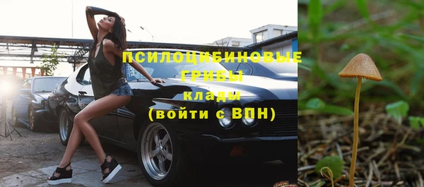 таблы Медвежьегорск