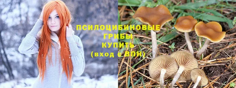 Псилоцибиновые грибы MAGIC MUSHROOMS  цена   Петровск 