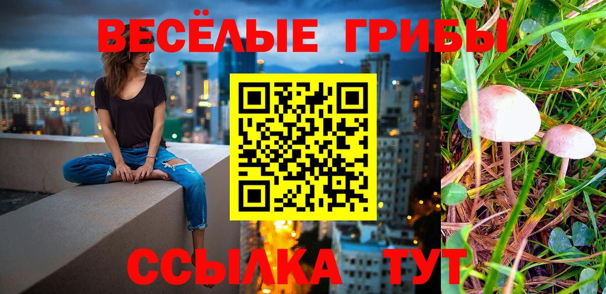 Псилоцибиновые грибы Cubensis Петровск