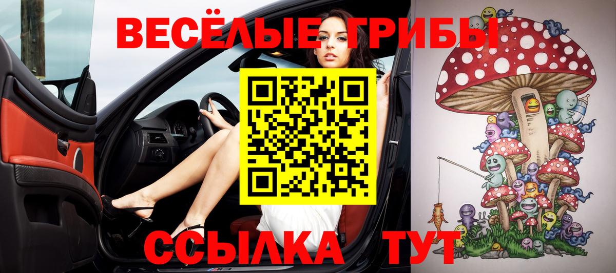 Псилоцибиновые грибы Cubensis  Петровск 