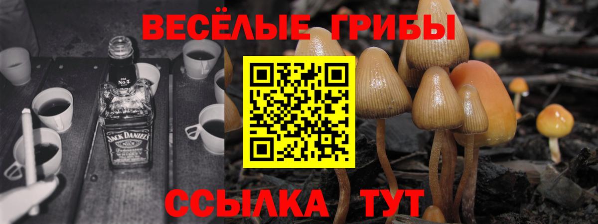 Псилоцибиновые грибы Psilocybe  Галлюциногенные грибы GOLDEN TEACHER  наркошоп  Вход с VPN  Петровск 